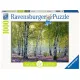 Ravensburger puzzel 1000 stukjes Nature edition 18 Berkenbos